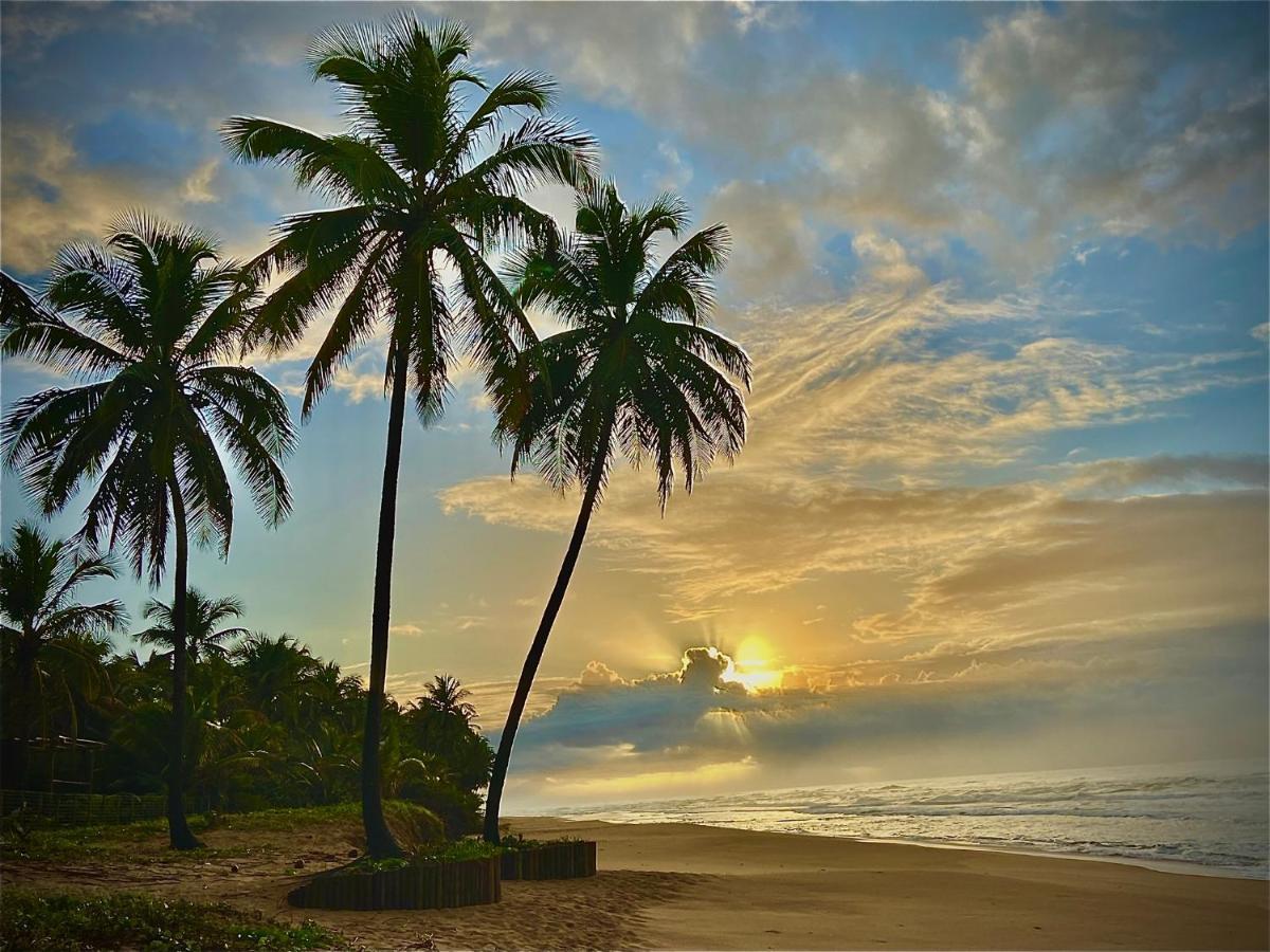 Bahia Surf Camp Hotel Abrantes Ngoại thất bức ảnh