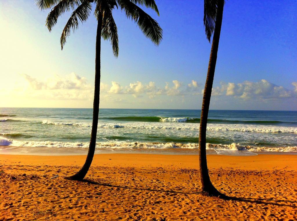 Bahia Surf Camp Hotel Abrantes Ngoại thất bức ảnh