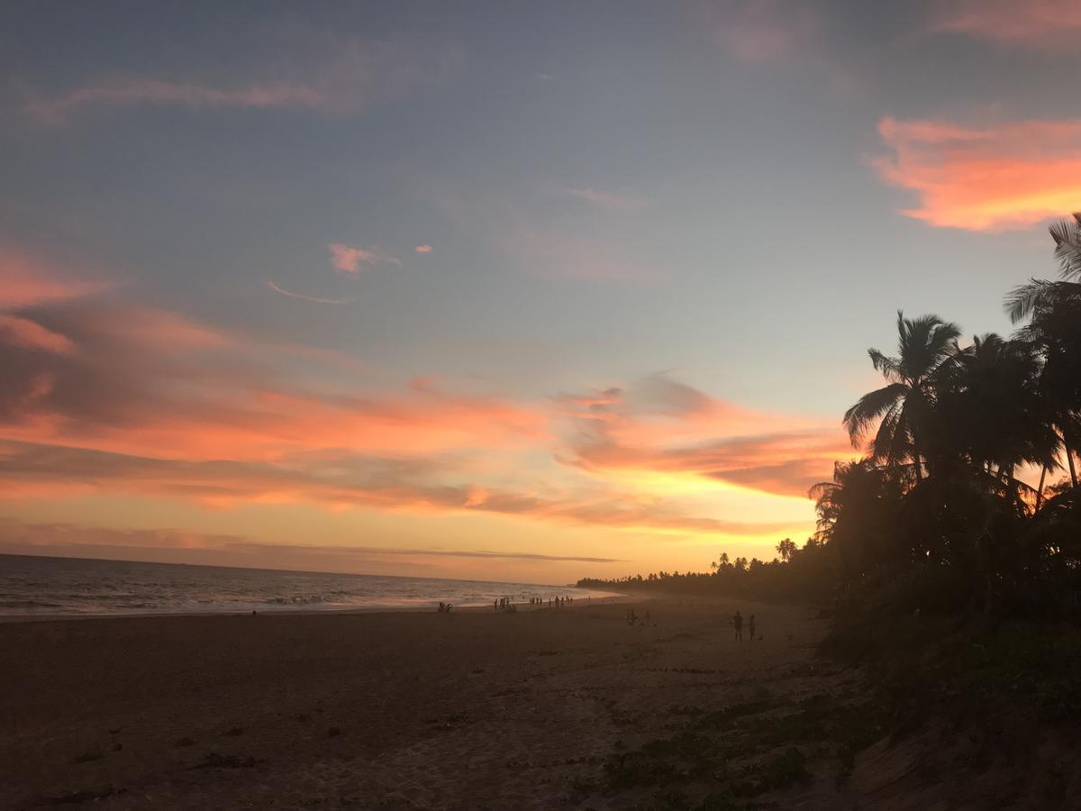 Bahia Surf Camp Hotel Abrantes Ngoại thất bức ảnh